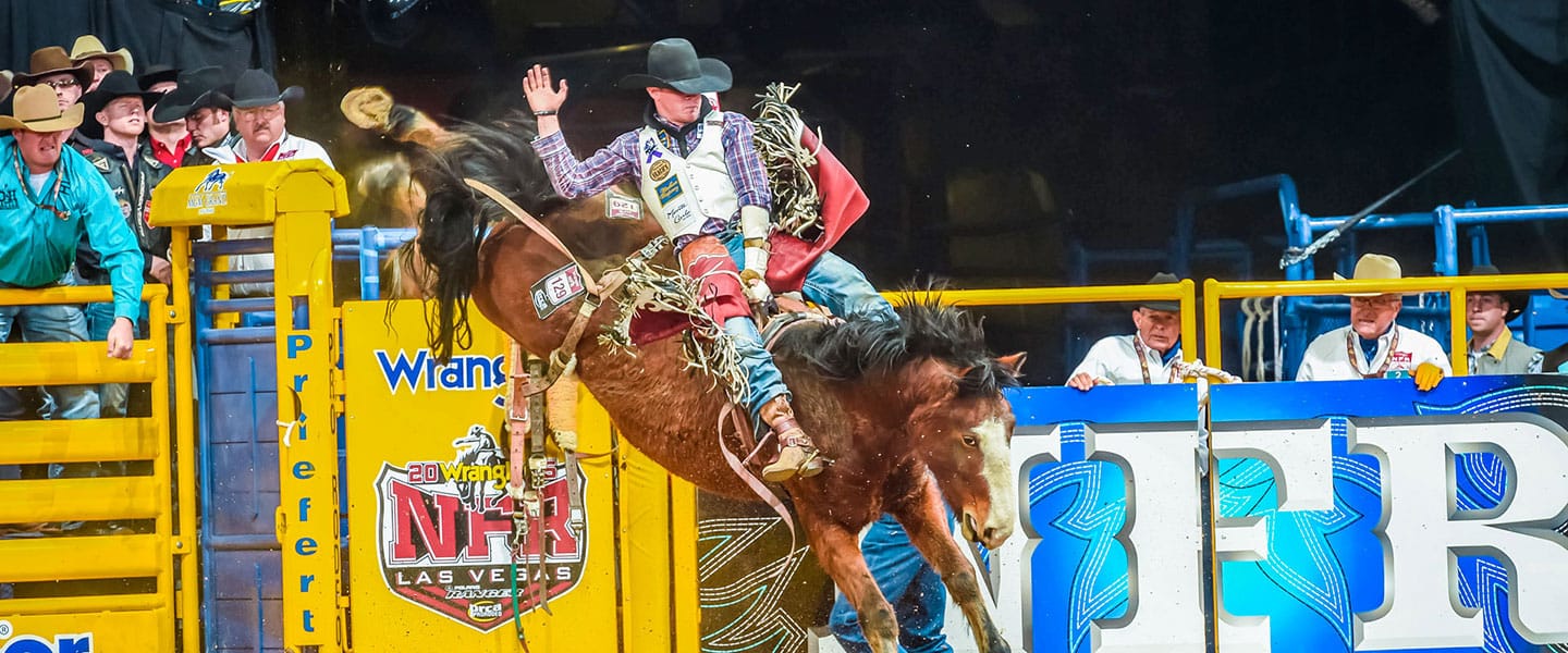 Tim jumping over fence on horse